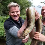 Disney+: le migliori serie tv in arrivo sulla piattaforma Star