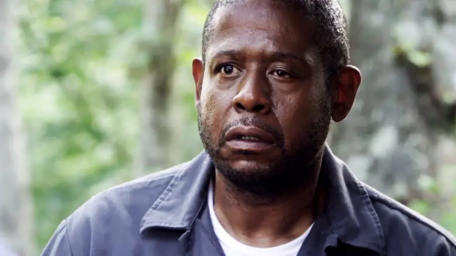 Chi è Forest Whitaker: biografia, carriera e filmografia del Premio Oscar 2007 per L'ultimo re di Scozia