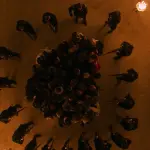 Il ballo dei 41: tutte le info sul film in uscita in Italia dal 12 maggio 2021 su Netflix