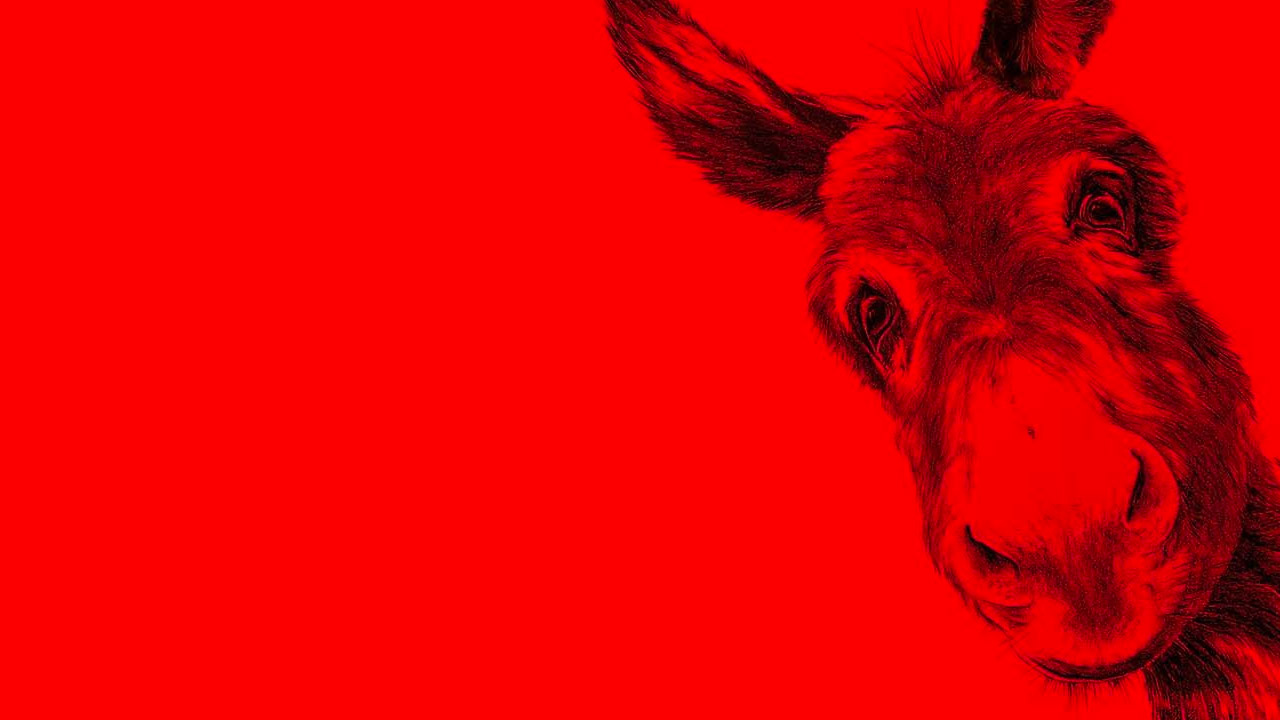 Recensione - EO: film di Jerzy Skolimowski