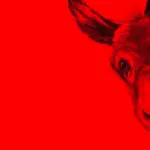 Recensione - EO: film di Jerzy Skolimowski