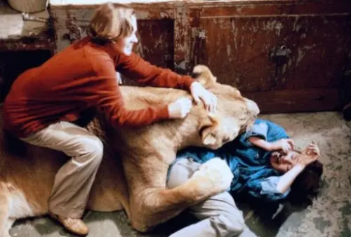 Le scene più estreme nei film che hanno spinto gli attori a lasciare il set