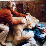 Le scene più estreme nei film che hanno spinto gli attori a lasciare il set