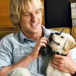 5 film che hanno degli animali come protagonisti