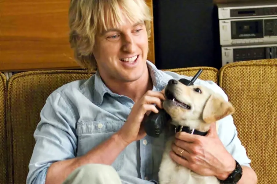 5 film che hanno degli animali come protagonisti