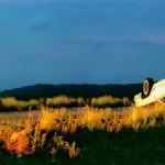 Demonlover: è stato restaurato il techo-spy-thriller di Olivier Assayas