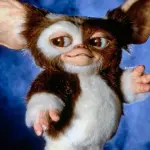 Netflix: i 5 film da guardare nel mese di agosto