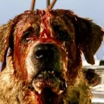 I 5 film di Stephen King che necessitano di un remake