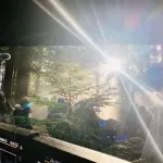 La showrunner Lauren S Hissrich condivide una foto dal set della seconda stagione di The Witcher