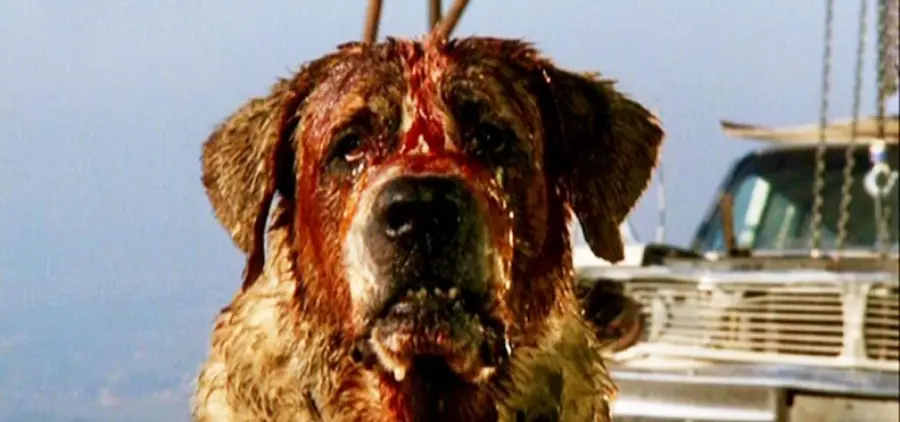 I 5 film di Stephen King che necessitano di un remake