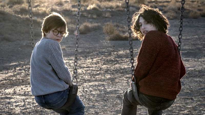 Il film Il Cardellino potrebbe rappresentare una perdita di 50 milioni per Warner Bros. e Amazon Studios