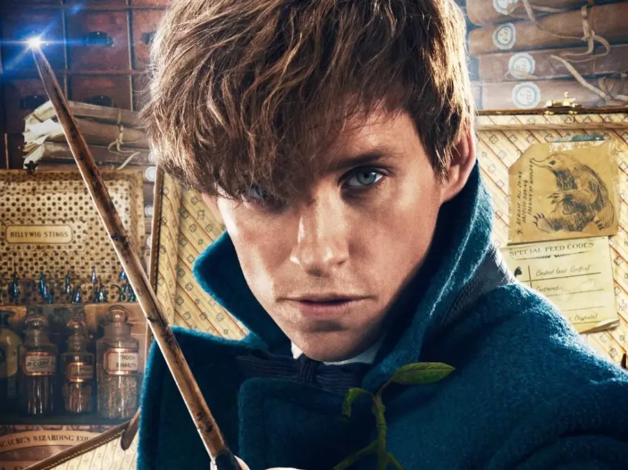 Animali Fantastici e dove trovarli: la recensione