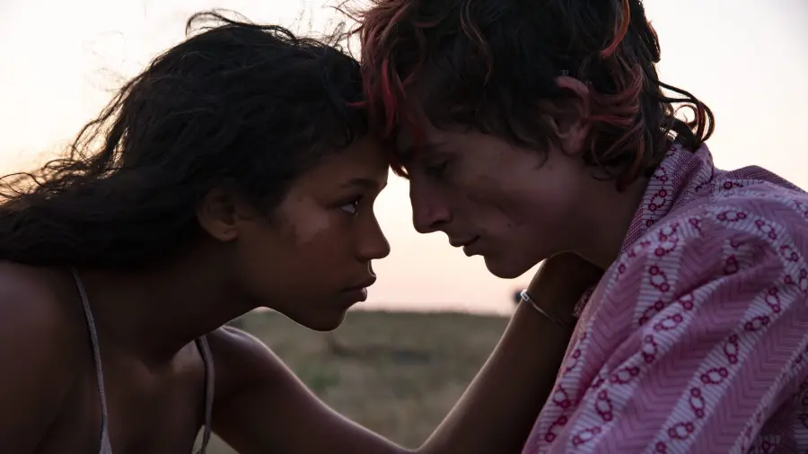 Bones and All: Timothée Chalamet parla del nuovo film di Luca Guadagnino