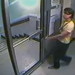 Giù le mani dai gatti: caccia a un killer online, la bizzarra indagine targata Netflix (Recensione)