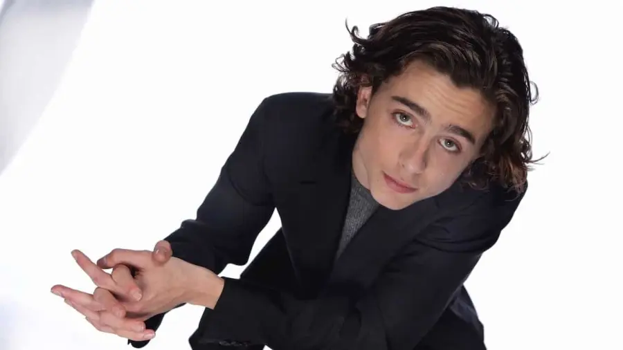 Chi è Timothée Chalamet: biografia, carriera e filmografia dell'attore di 