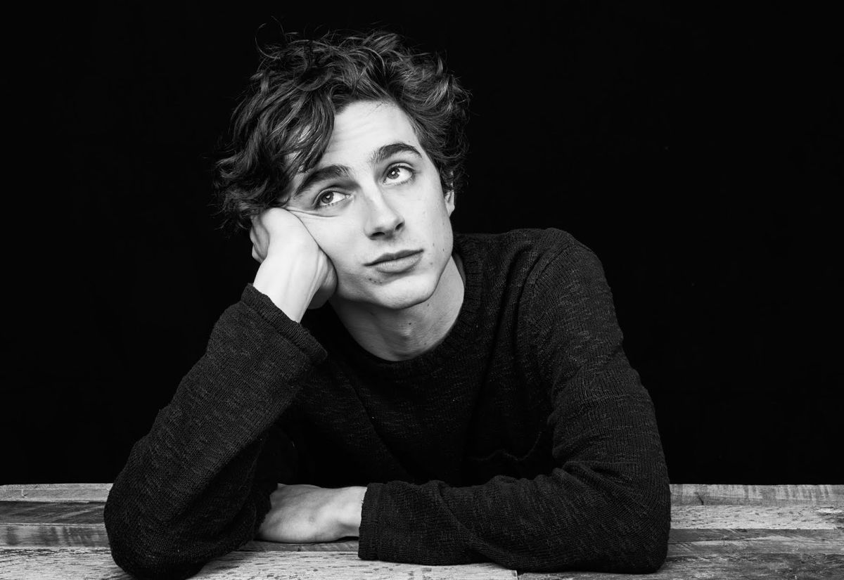 L'anno di Timothée Chalamet: tutti i film in cui ha recitato l'attore statunitense