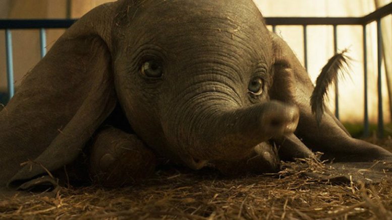 Dumbo di Tim Burton. cast e trama del film