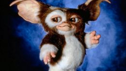 Gremlins, La febbre del sabato sera, Joe Dante, Dunkirk, The Founder