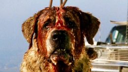 Cujo, L'ombra dello scorpione, Stephen King, Cell