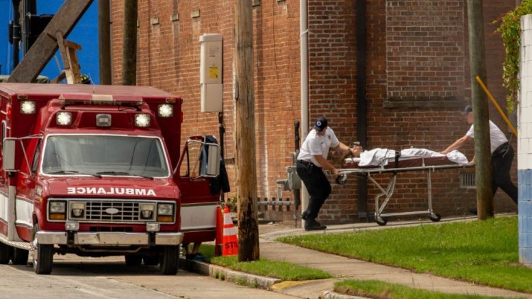 stranger things millie brown